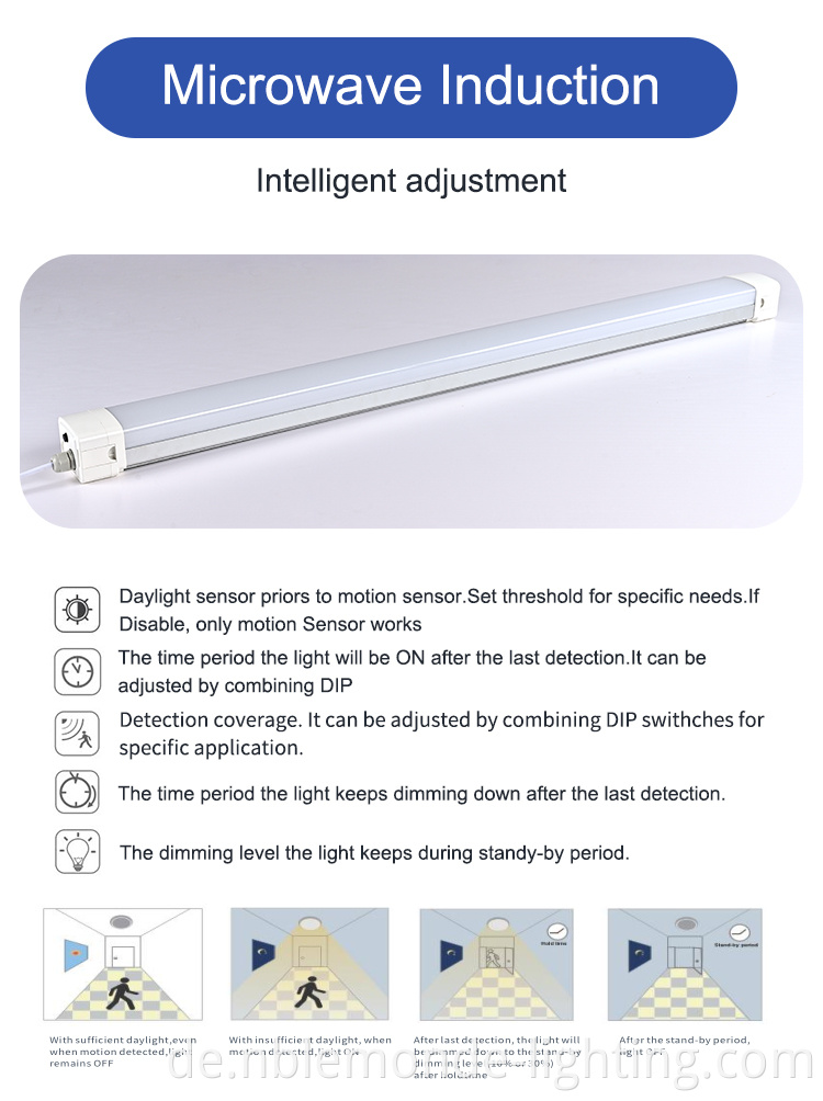 Endurance LED Light